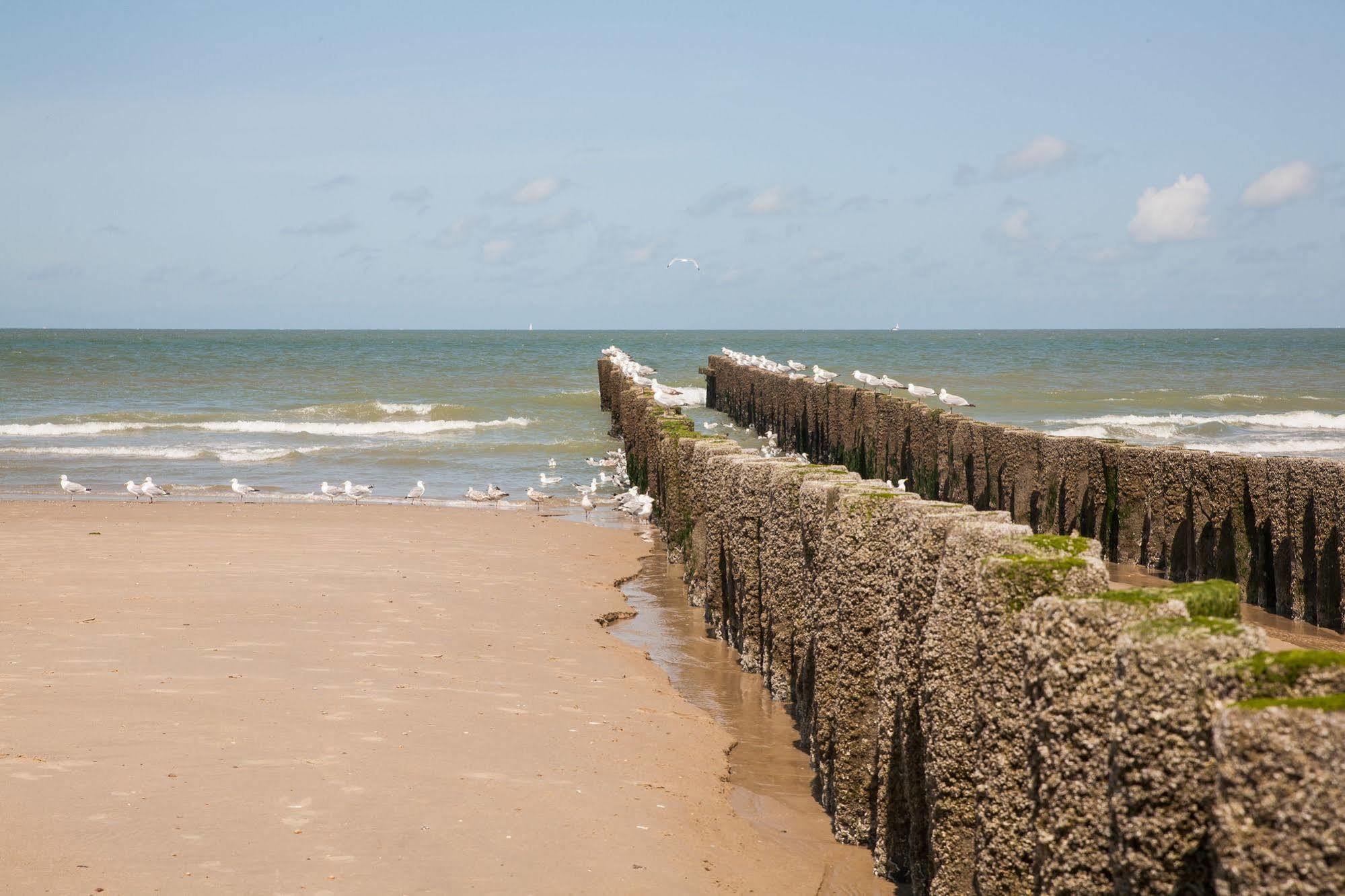 Hotel Domburg4You Zewnętrze zdjęcie